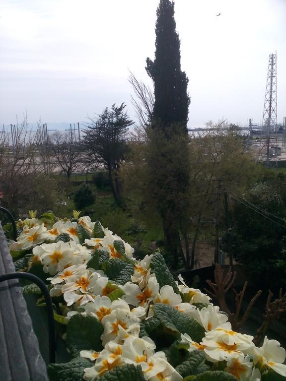 Pendik Marine Hotel Istanbul Exterior photo